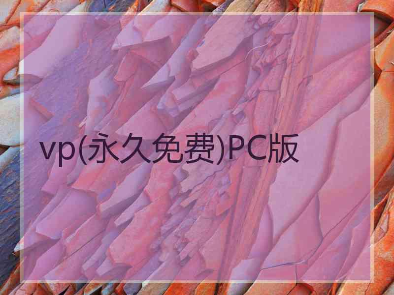 vp(永久免费)PC版