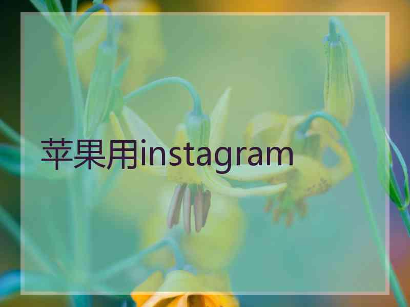 苹果用instagram