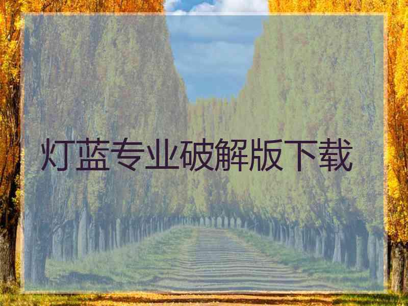 灯蓝专业破解版下载