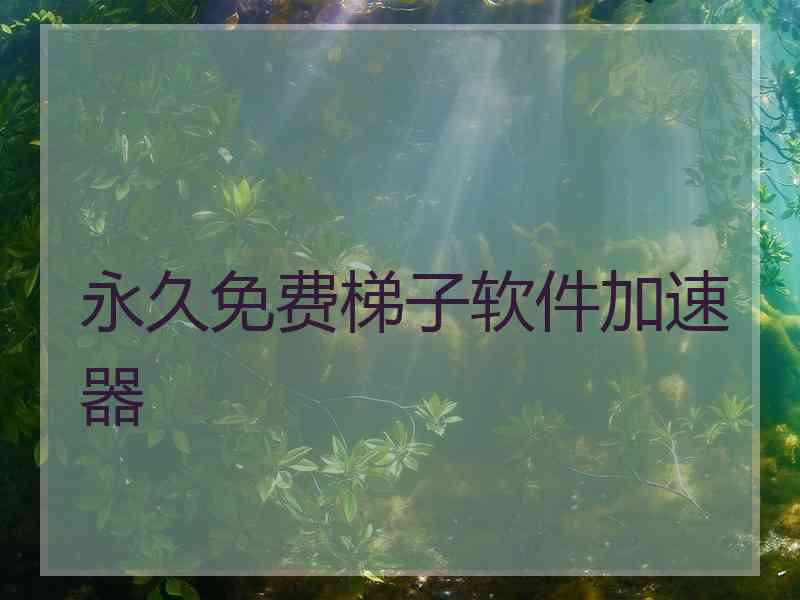 永久免费梯子软件加速器