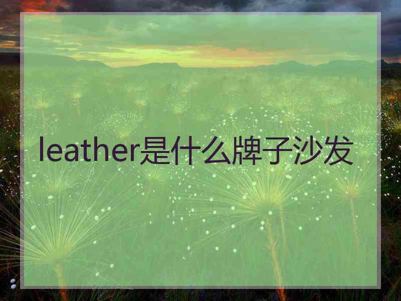 leather是什么牌子沙发