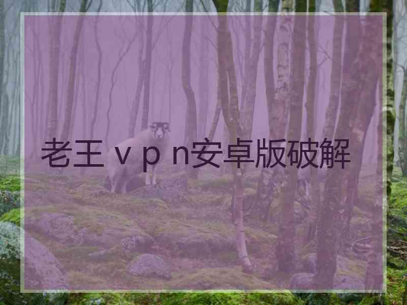 老王 v p n安卓版破解