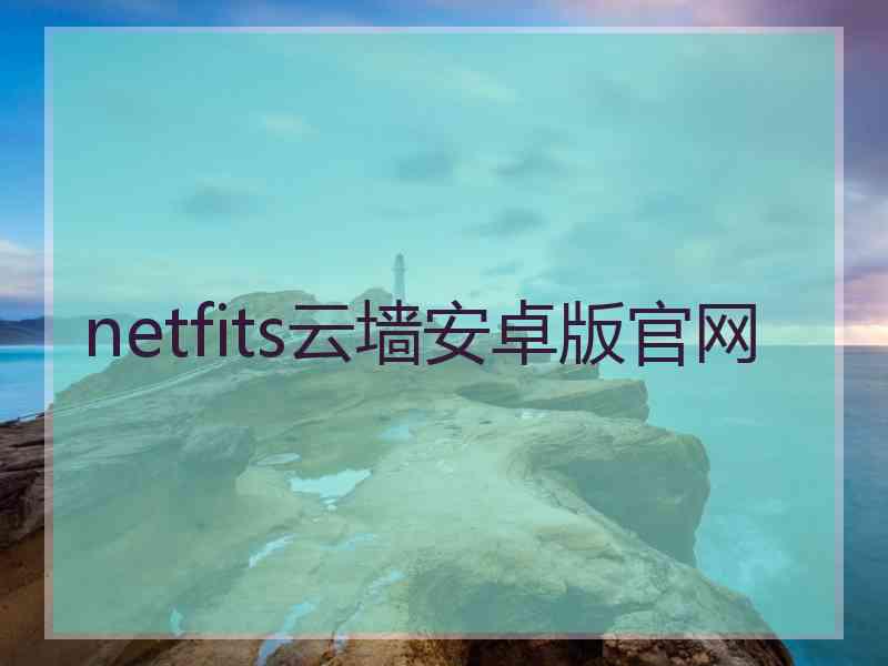 netfits云墙安卓版官网