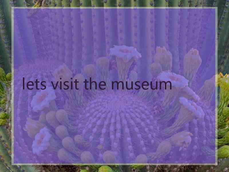 lets visit the museum