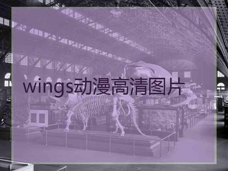 wings动漫高清图片