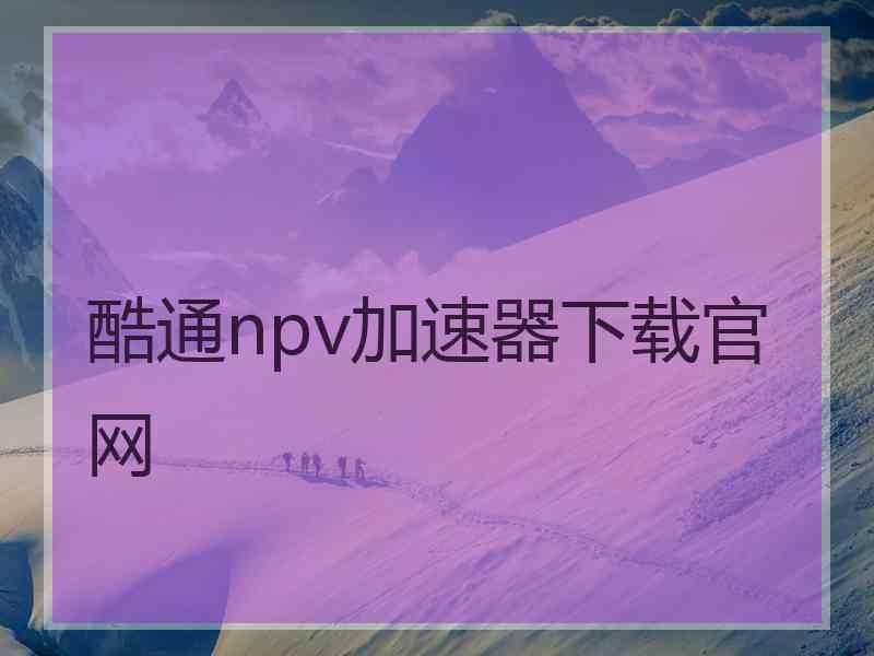 酷通npv加速器下载官网