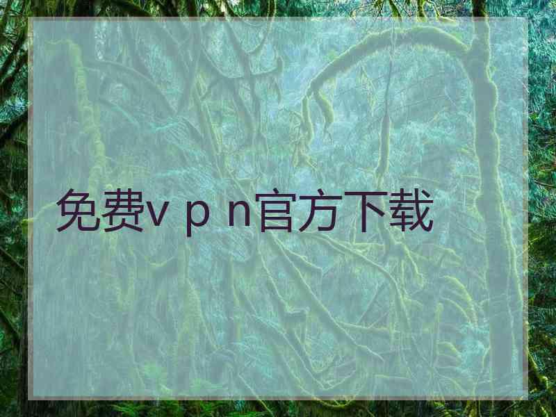 免费v p n官方下载