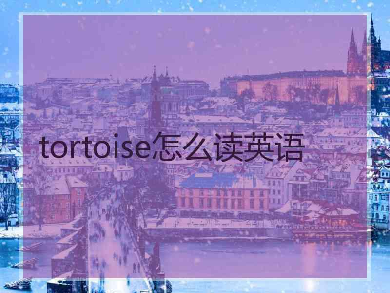 tortoise怎么读英语