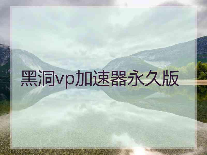 黑洞vp加速器永久版