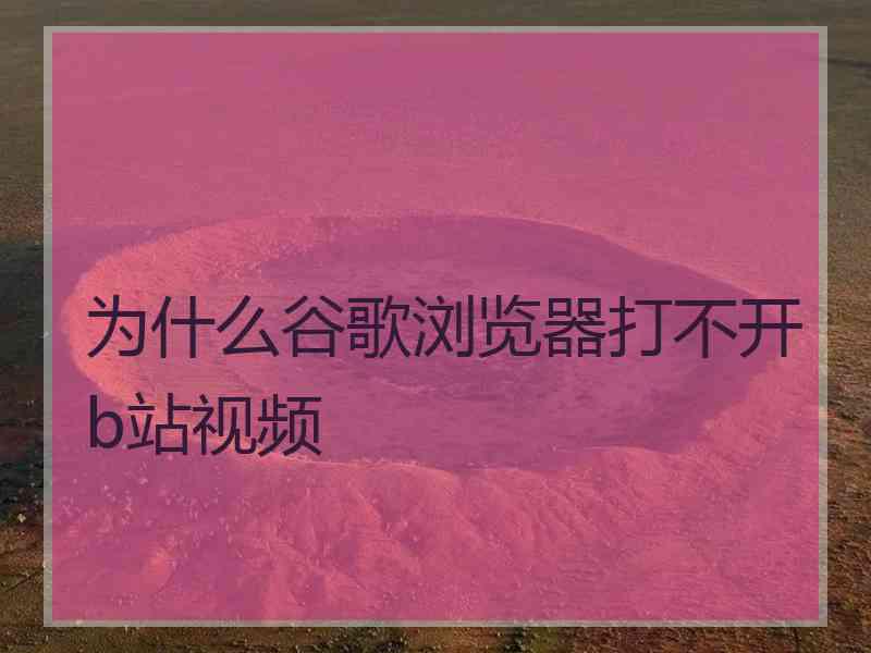 为什么谷歌浏览器打不开b站视频