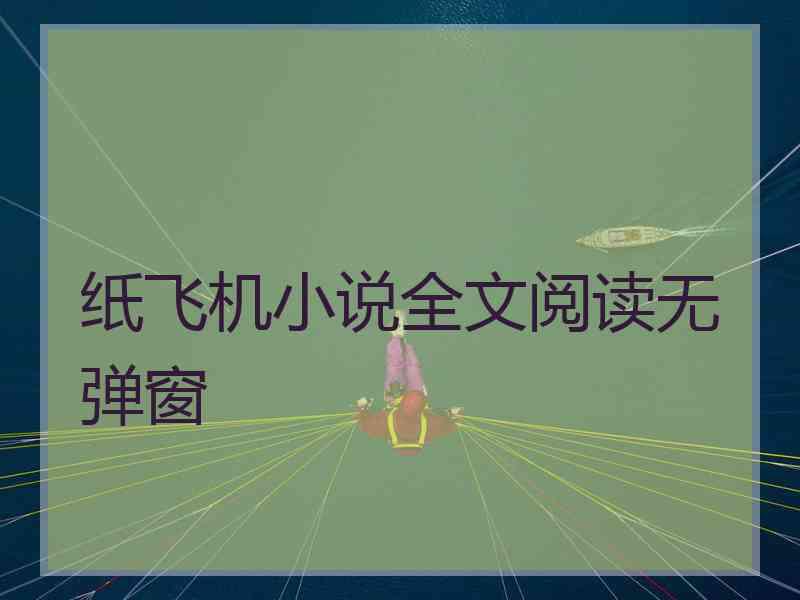 纸飞机小说全文阅读无弹窗