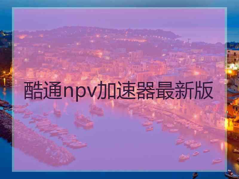 酷通npv加速器最新版