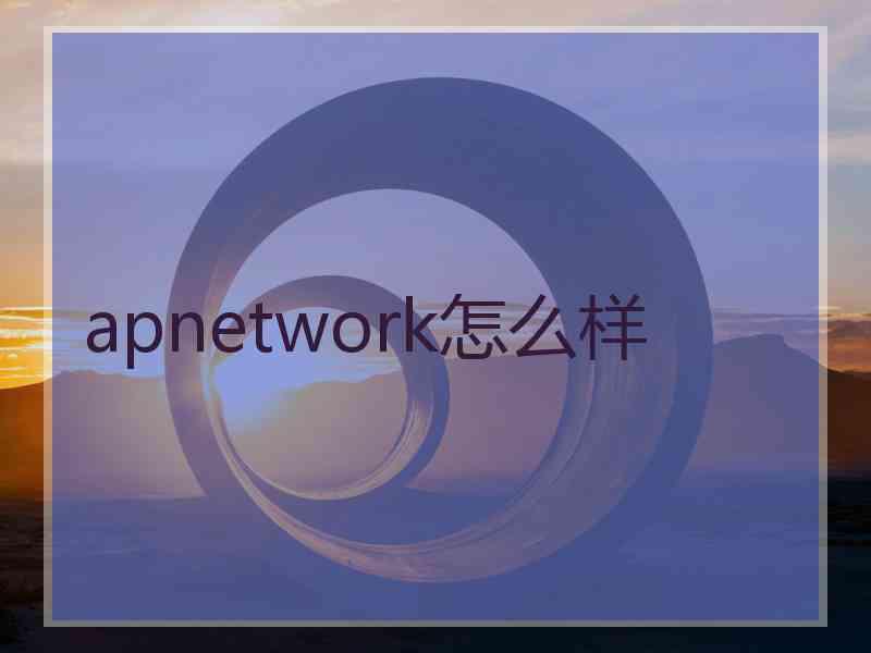 apnetwork怎么样