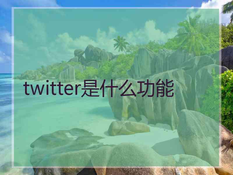 twitter是什么功能