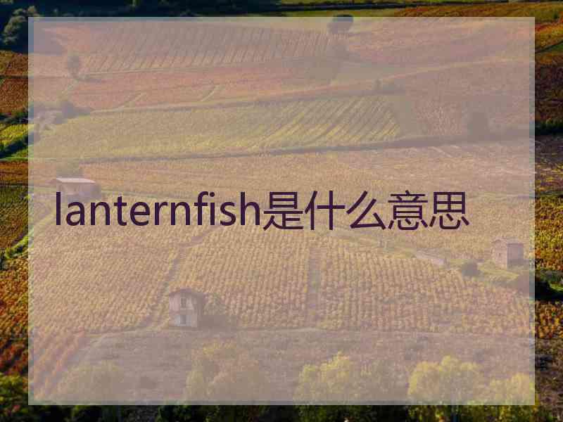 lanternfish是什么意思