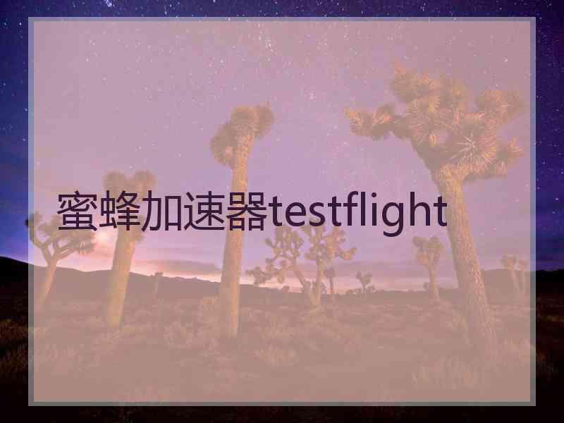 蜜蜂加速器testflight