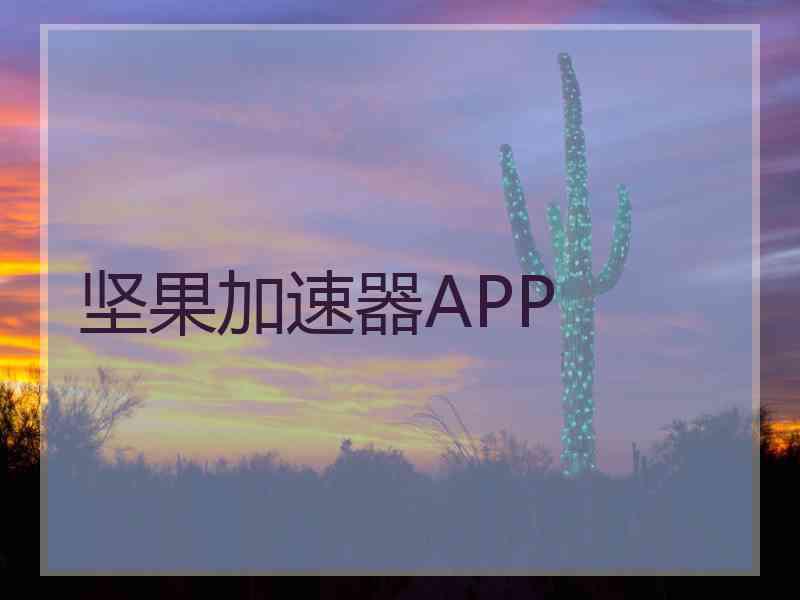 坚果加速器APP