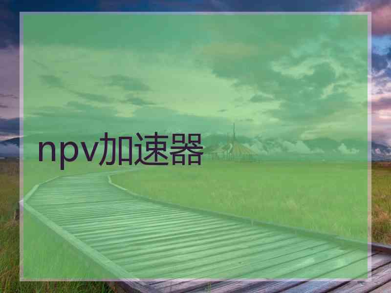 npv加速器