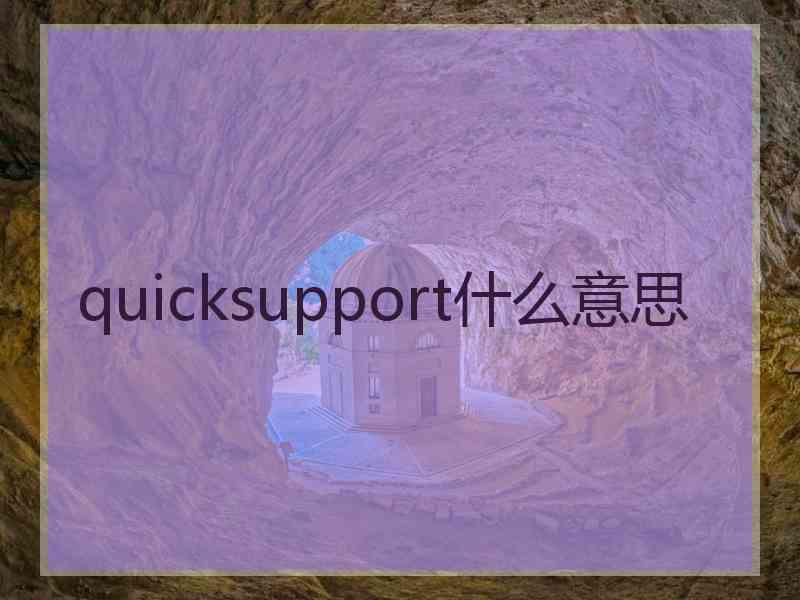 quicksupport什么意思