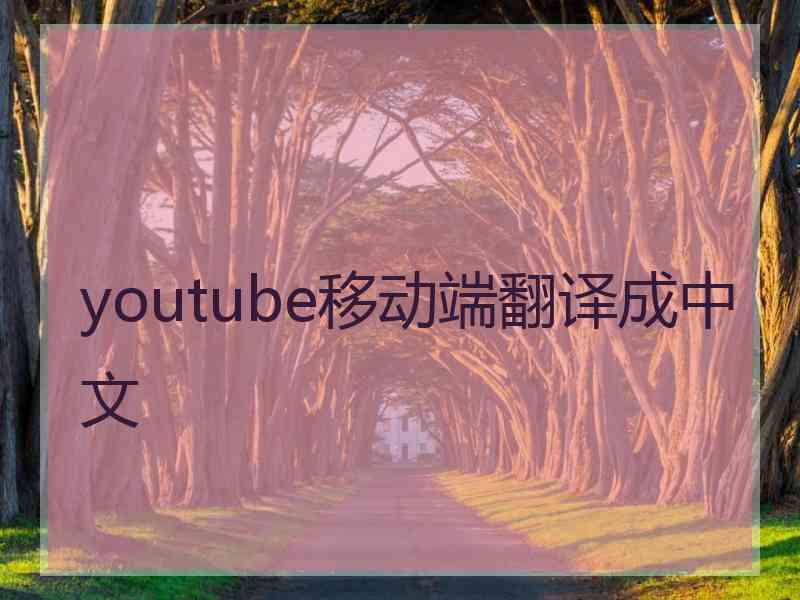 youtube移动端翻译成中文