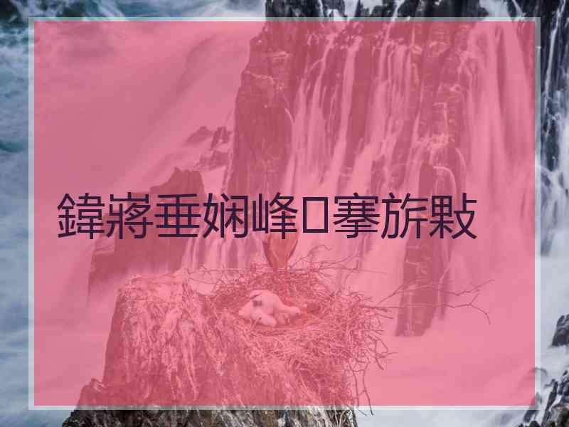 鍏嶈垂娴峰搴旂敤