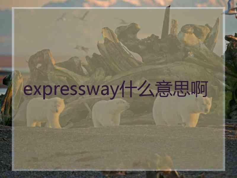 expressway什么意思啊