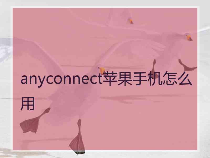 anyconnect苹果手机怎么用