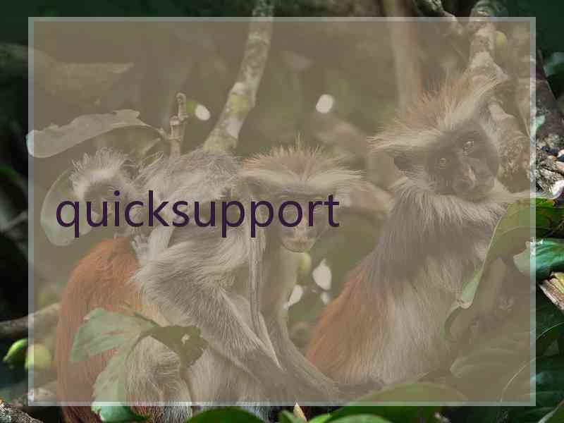 quicksupport