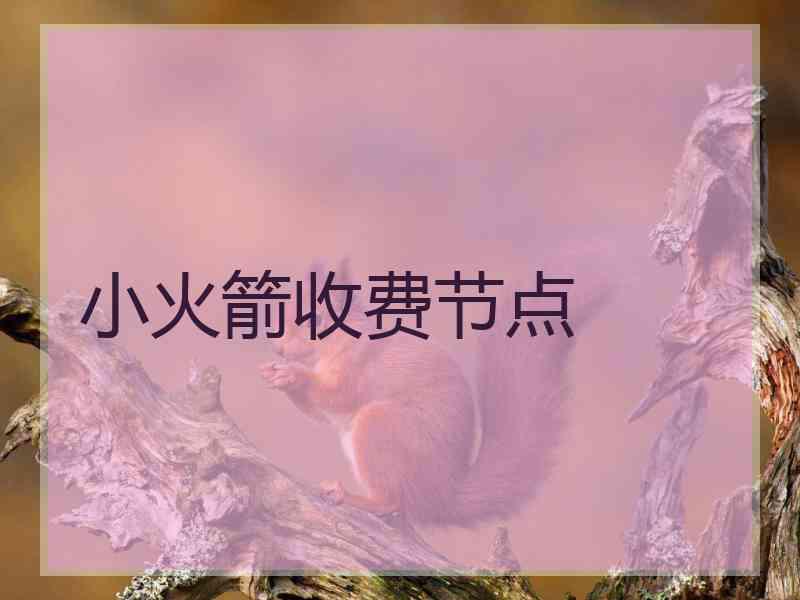 小火箭收费节点