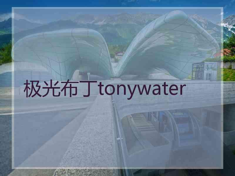 极光布丁tonywater