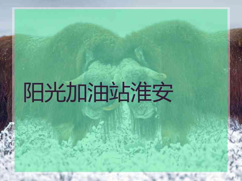 阳光加油站淮安