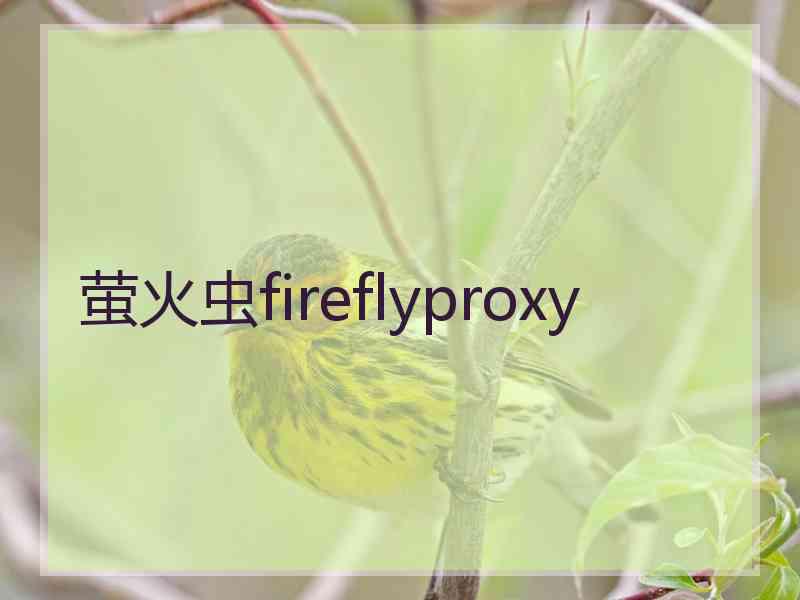 萤火虫fireflyproxy