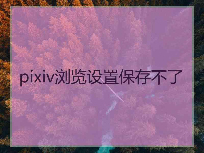 pixiv浏览设置保存不了