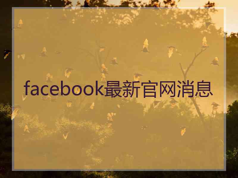 facebook最新官网消息