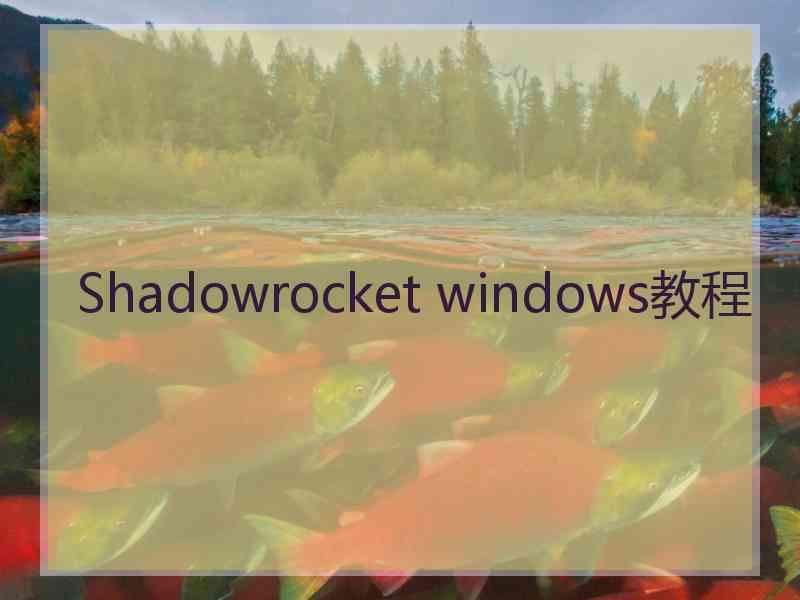 Shadowrocket windows教程