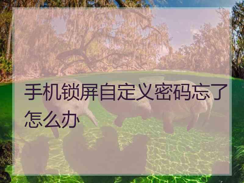 手机锁屏自定义密码忘了怎么办