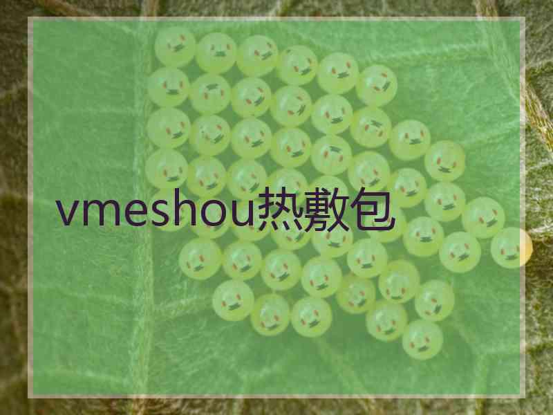 vmeshou热敷包