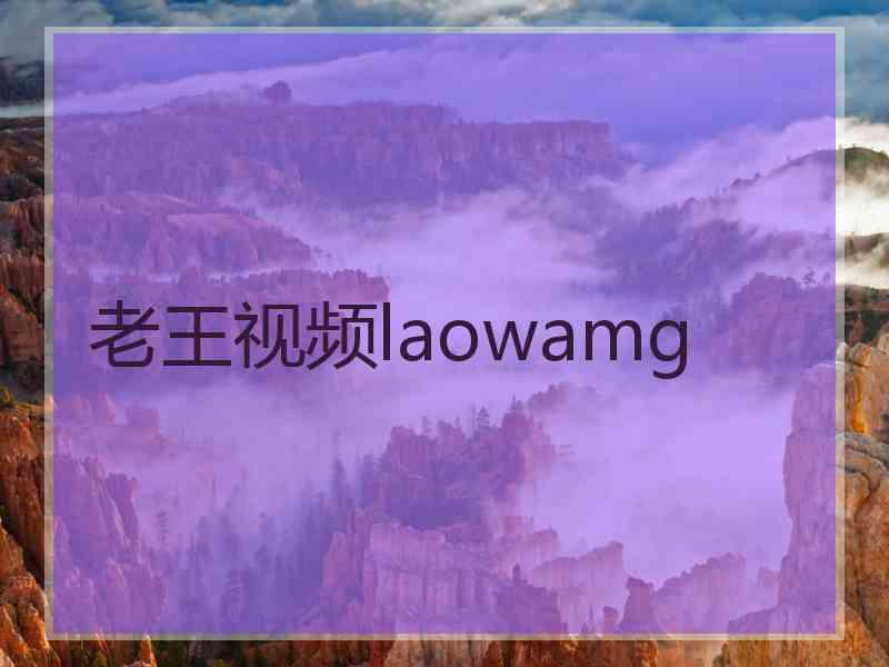 老王视频laowamg