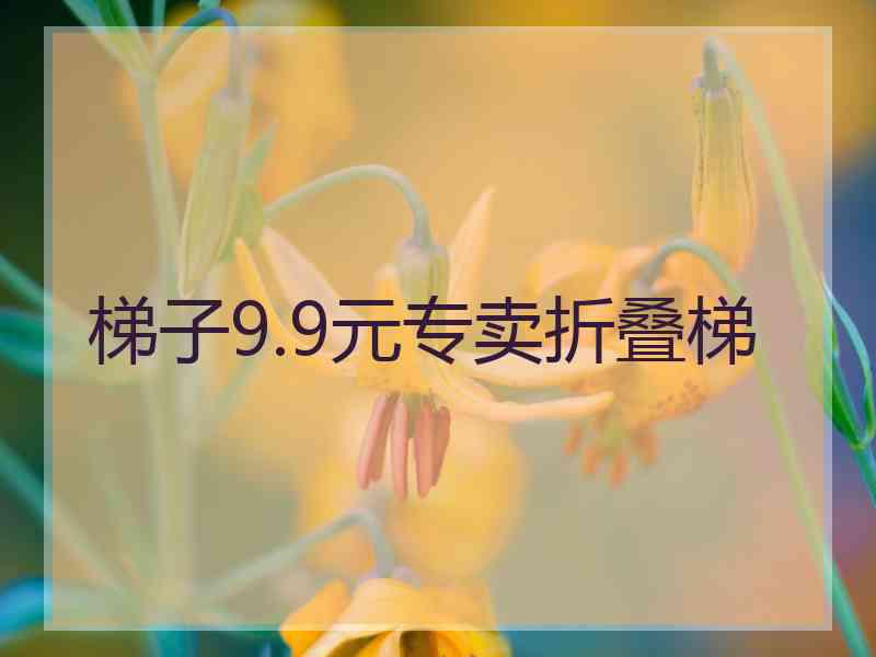 梯子9.9元专卖折叠梯