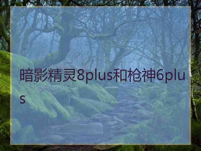 暗影精灵8plus和枪神6plus