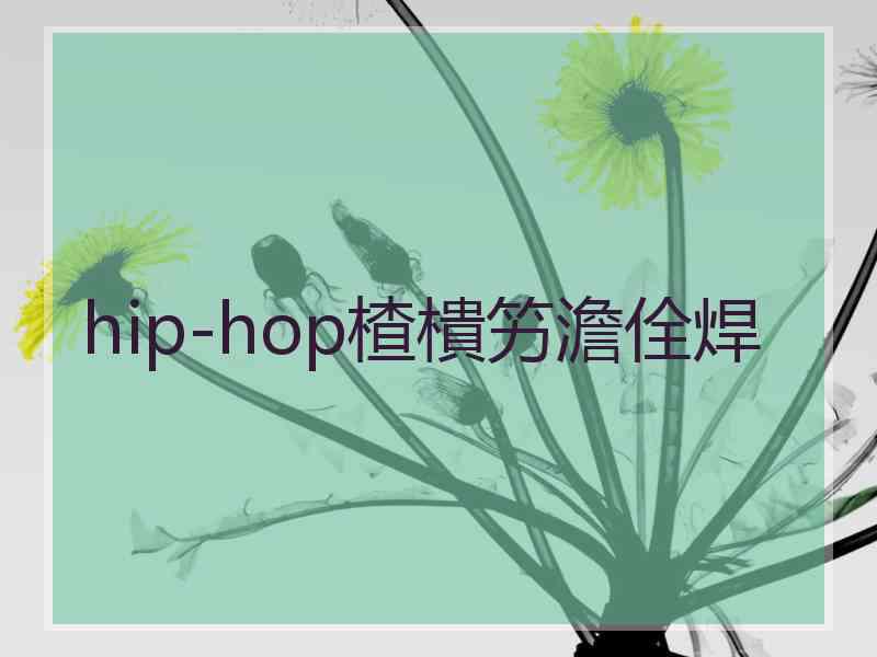 hip-hop楂樻竻澹佺焊