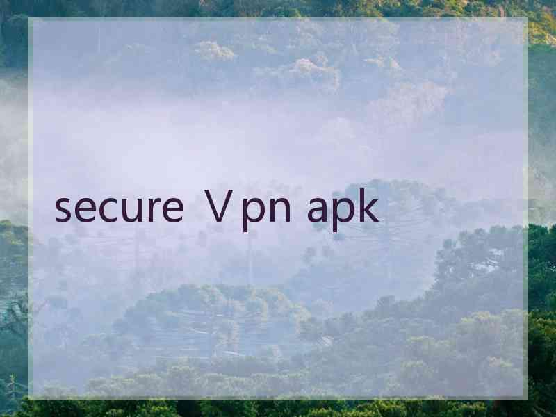 secure Ⅴpn apk