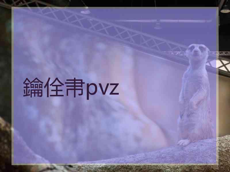 鑰佺帇pvz