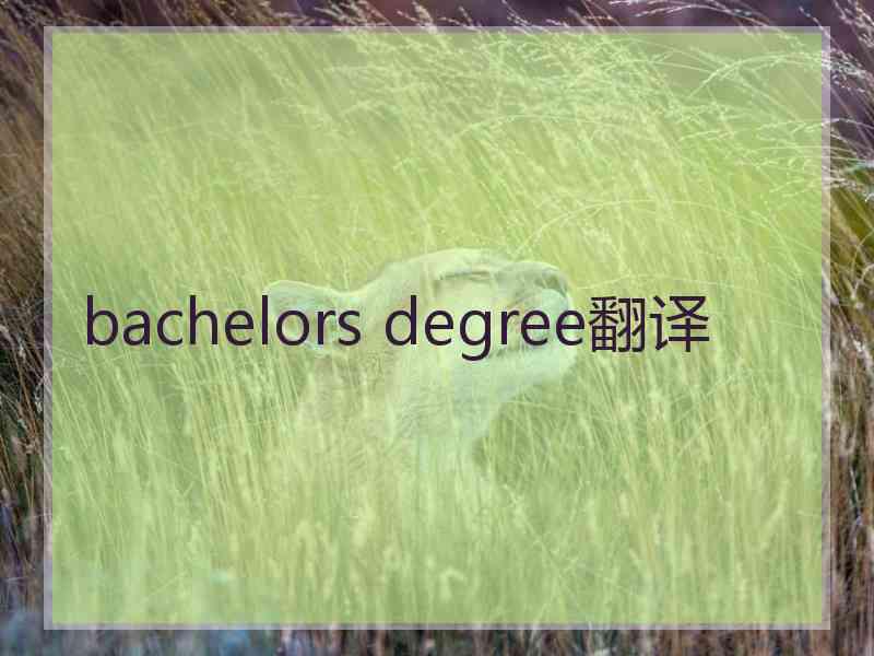 bachelors degree翻译