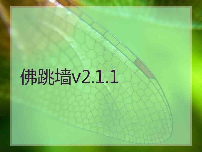 佛跳墙v2.1.1