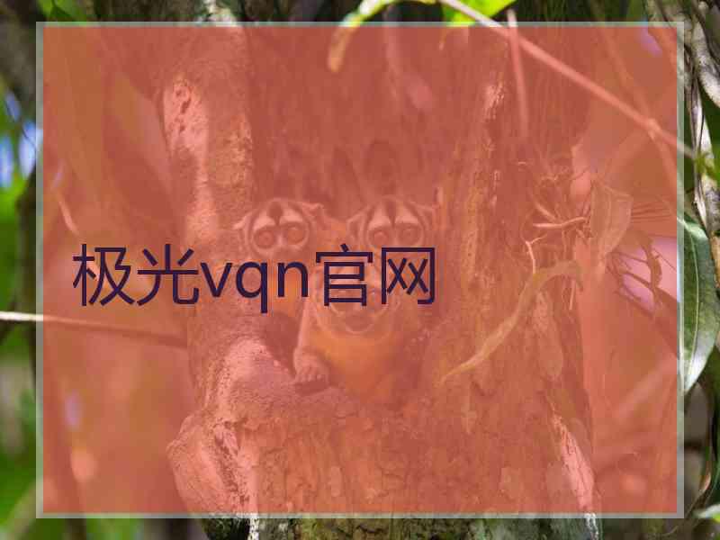 极光vqn官网