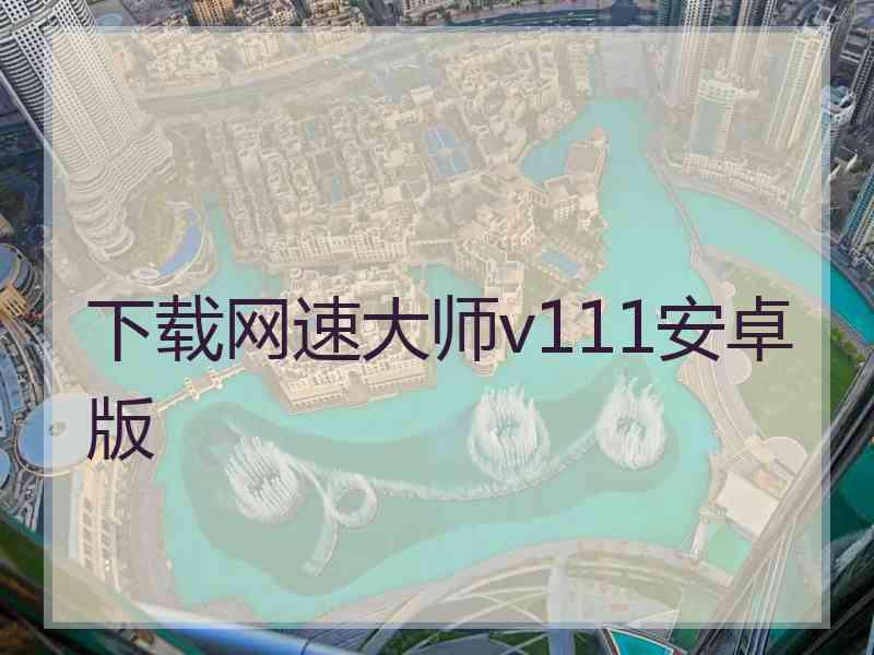 下载网速大师v111安卓版