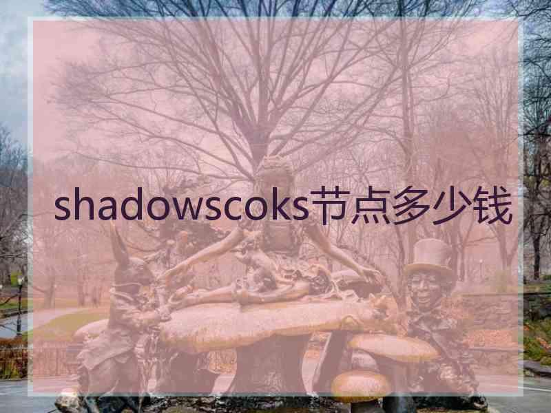 shadowscoks节点多少钱