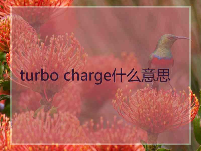 turbo charge什么意思