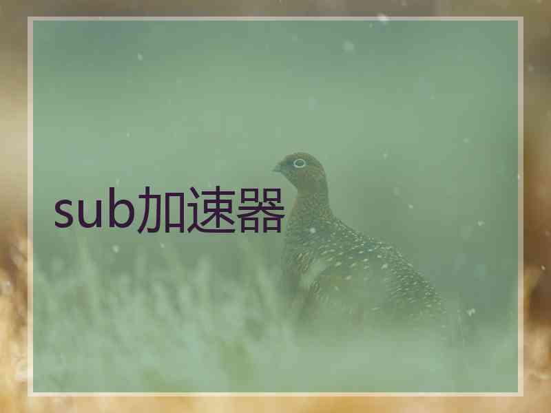 sub加速器